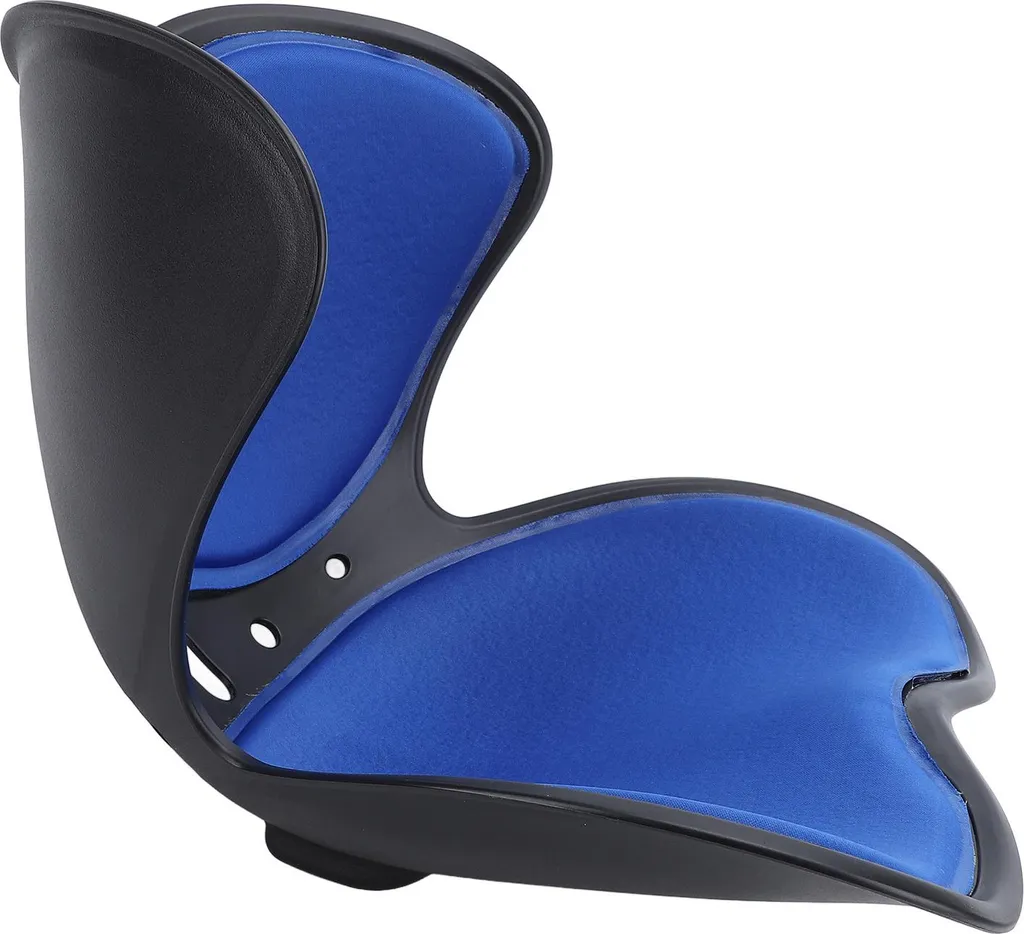 Sedia Correttiva Postura Blu: Supporto Lombare a Terra Petalo-Style
