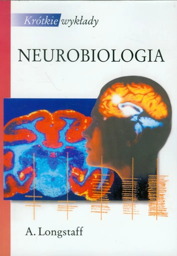 Tout Comprendre à la Neurobiologie : Finir avec les Notions Complexes