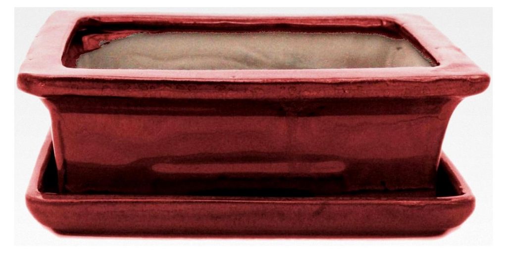 Bonsai-Schale mit Unterteller Größe 3 - Rot - Eckig - L 18cm - B 13cm - H 6cm