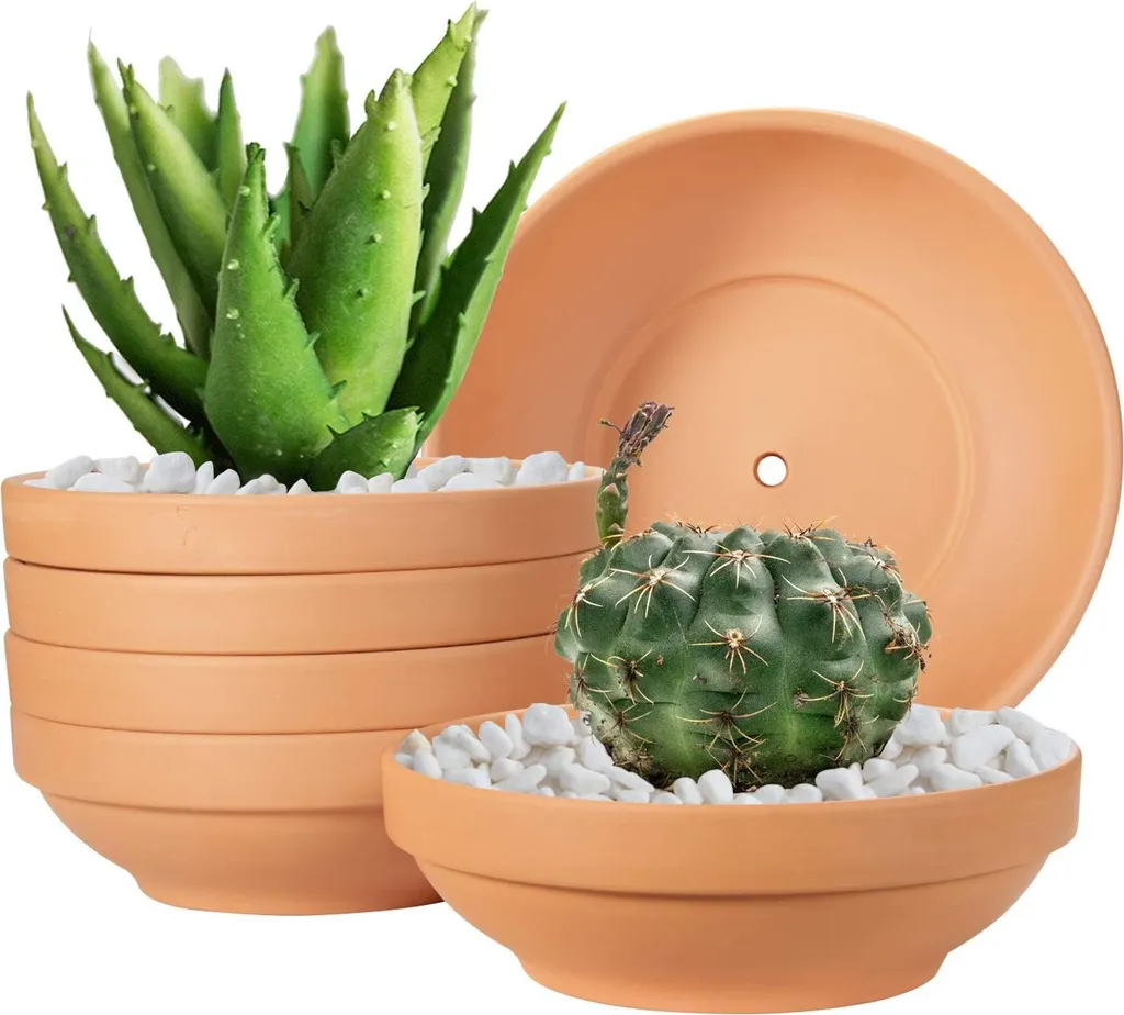 Pots pour Succulentes et Cactus Laergin - 6 Pots en Terre Cuite de 16cm