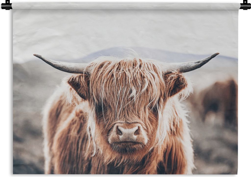 MuchoWow Wandteppich Wandbehang Schottischer Highlander - Berg - Hoorn 60x45 cm Tapisserie Dekoration Wandtuch - Das Schlafzimmer