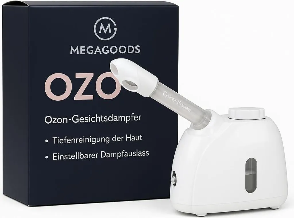 Humidificateur facial à brume chaude Soins de la peau Ozone Intégré 280W