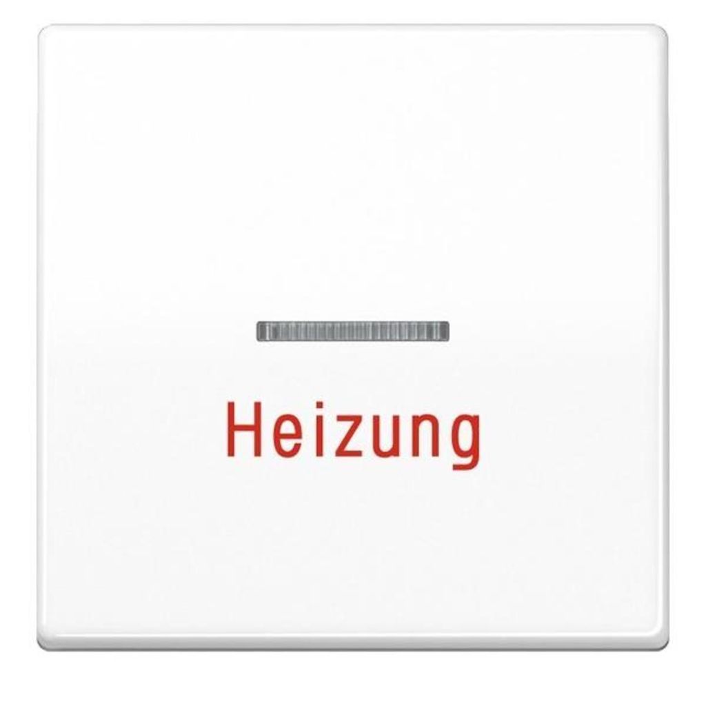 JUNG Zentralplatte Schalter AS500 aws glz