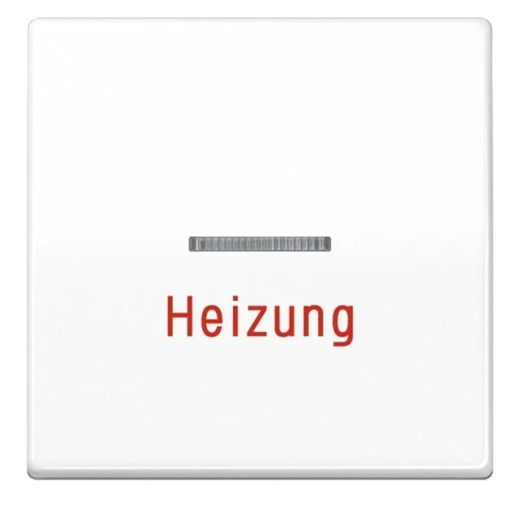 Plaque centrale JUNG AS500 blanc alpin brillant haute résistance glz