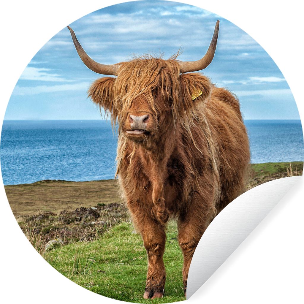 MuchoWow Runde Wandtattoo - Wandsticker Tapete Aufkleber Schottischer Highlander - Wasser - Hörner Ø 30 cm Selbstklebend und Repositionierbar -...