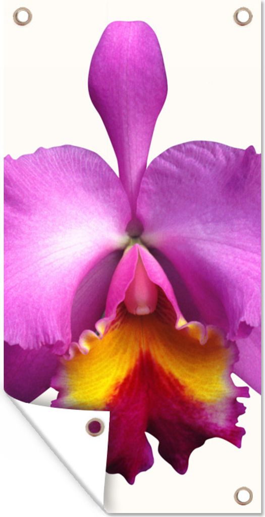 MuchoWow 80x160 cm Outdoor-Poster Gartendeko Sichtschutz Garten Poster für den Garten Nahaufnahme Orchidee