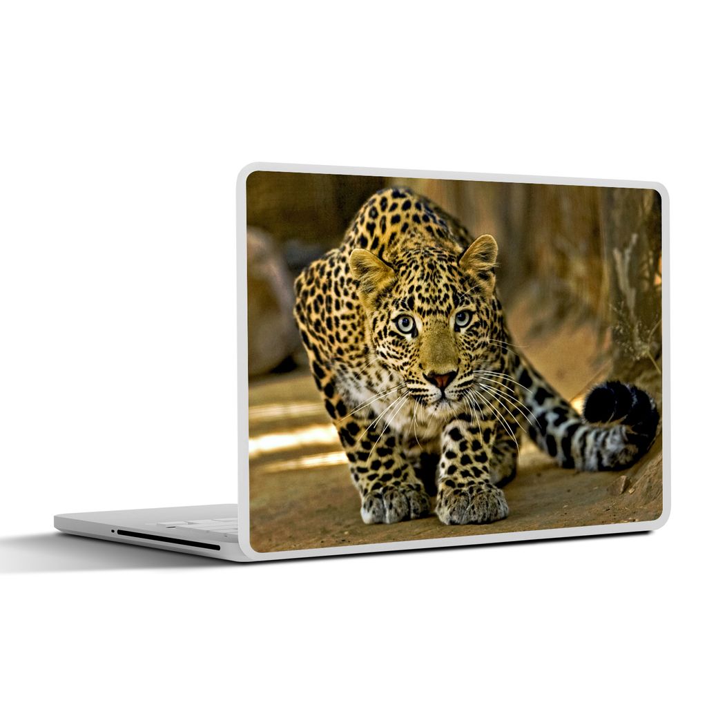 MuchoWow Laptop Aufkleber Sticker Cover Leopard - Raubtier - Porträt 25x18 cm - Laptop-Deko