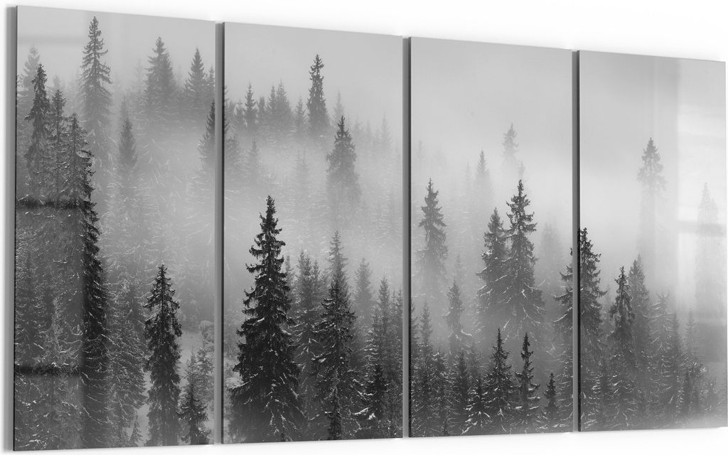 DEQORI Glasbild Echtglas 4x30x60 cm 'Nebelwald Stille' Wandbilder XXL groß