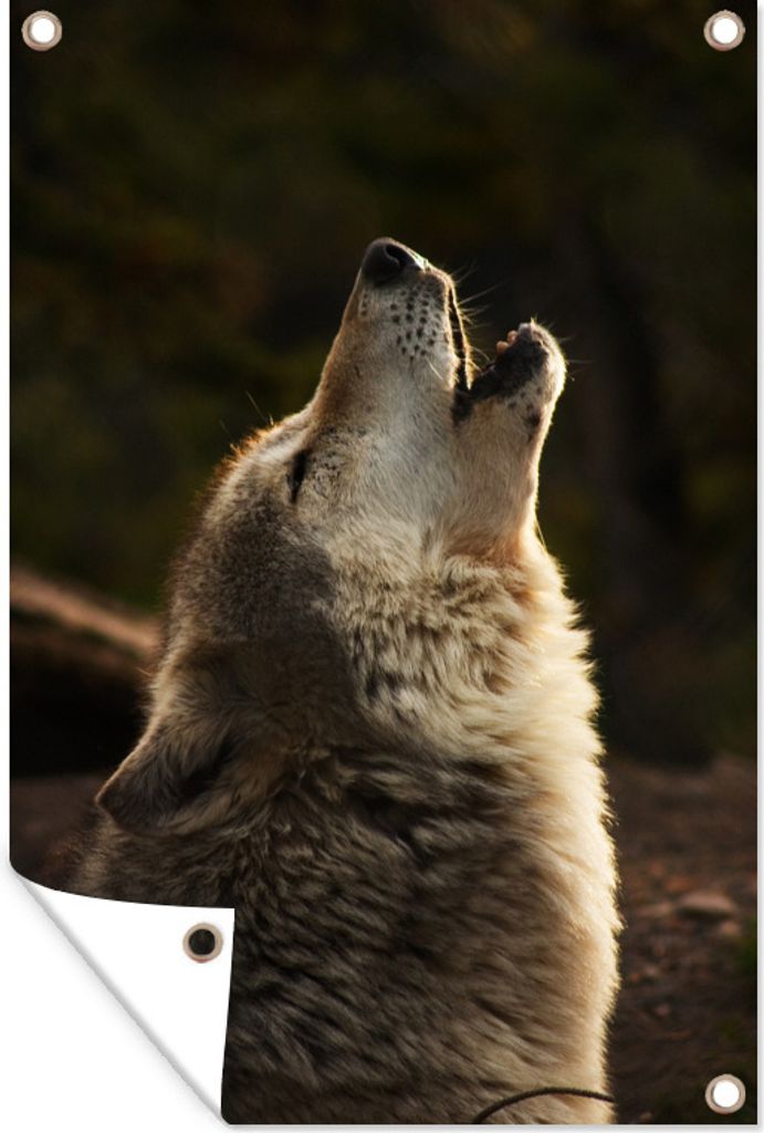 MuchoWow 40x60 cm Outdoor-Poster Gartendeko Sichtschutz Garten Poster für den Garten Wolf - Grau - Tiere