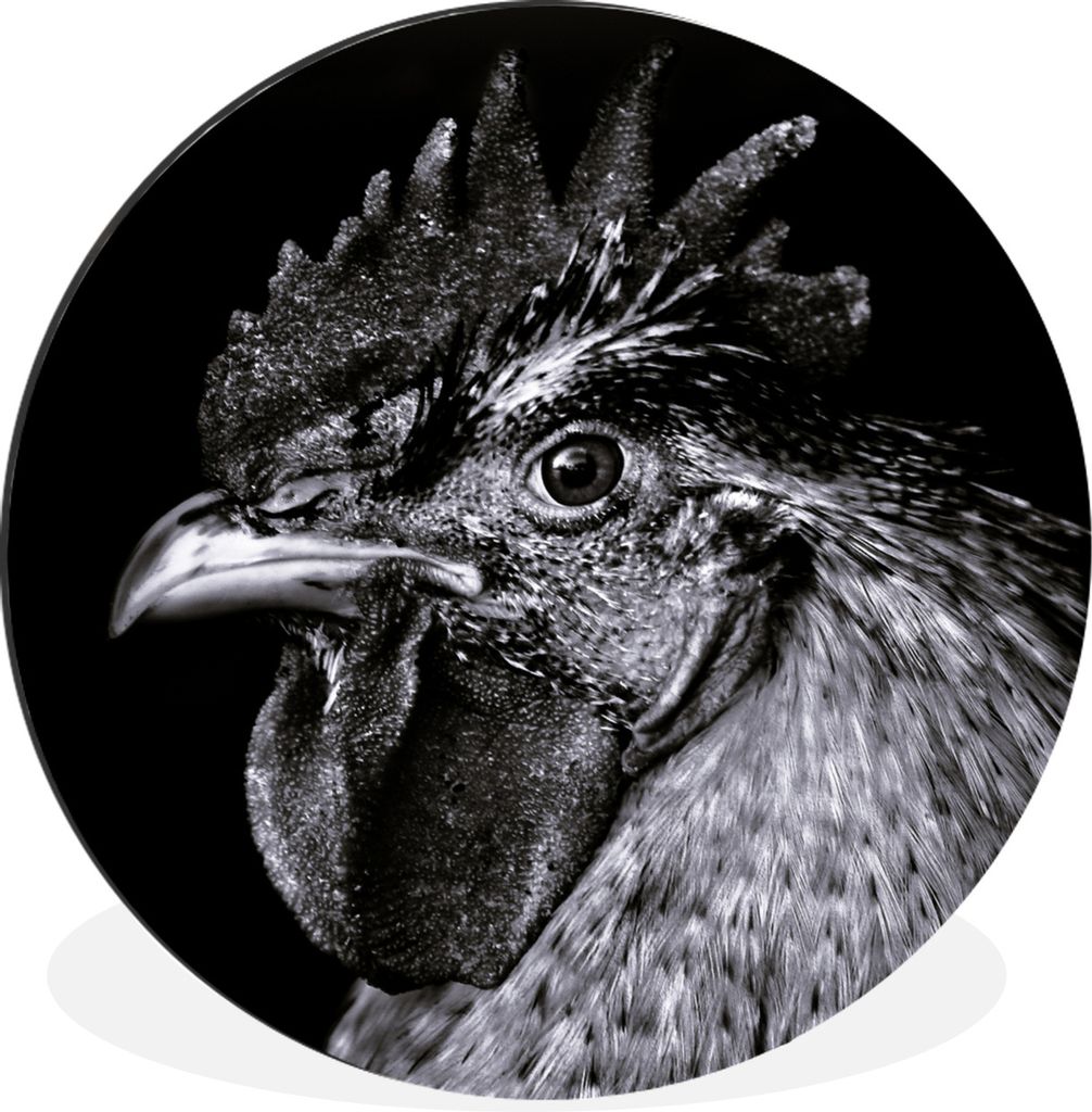 MuchoWow Aluminium Wandkreis Hahn - Vogel - Schwarz - Weiß Ø 30 cm Wanddeko Modern Wohnzimmer - Wand Bild - Wohnzimmer - Runde Bilder - Alubild...