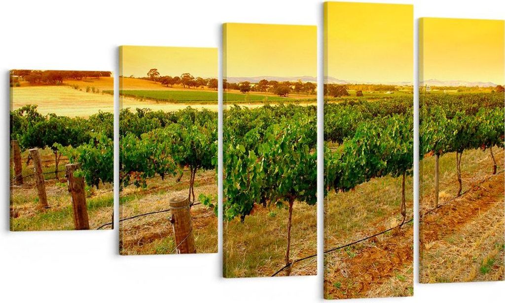 Bild auf Leinwand - Leinwandbild - Landschaft Weinberg Produktbild 
