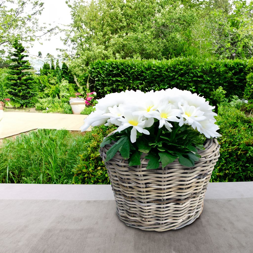 Rattan Pflanztopf mit Kunststoff Einsatz - 33 x 24 cm - Produktbild 5
