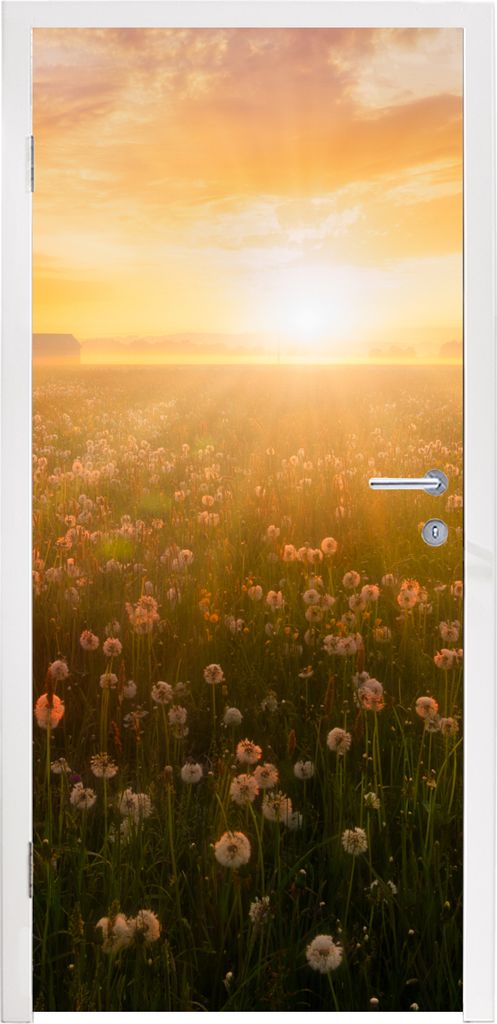MuchoWow Türtapete Selbstklebende Türfolie Sonnenuntergang - Blumen - Farben 90x215 cm Türposter Türaufkleber Klebefolie Türklebefolie - Pla...