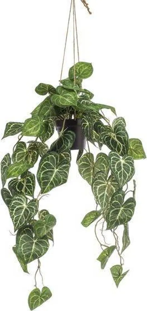 Anthurium Clarinervium artificiel 80 cm - Feuillage sans entretien