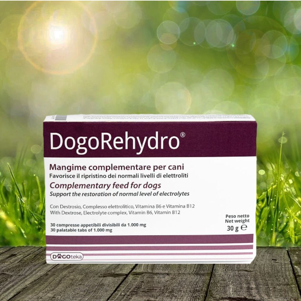 Dogoteka - DogoRehydro Elektrolyt-Tabs - 30 Stück bei großer Hitze - unterstützt den Elektrolyte-Haushalt