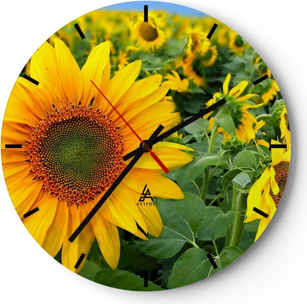 Wanduhr - Rund - Glasuhr - Wolken Sonnenblumen Plantagen - 30x30cm - Schleichendes Uhrwerk - Lautlos - zum Aufhängen bereit - Dekoration Modern - ...
