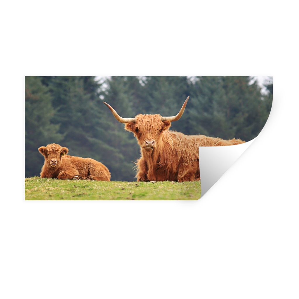 MuchoWow Wandtattoo Wandsticker Wandaufkleber Schottische Highlander - Gras - Wald 120x60 cm Selbstklebend und Repositionierbar - Sticker - Dekor...