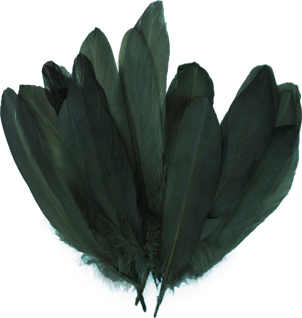 20 Entenfedern 15-21cm Bastelfedern Federn Dekofedern f. Hüte Kostüme Basteln