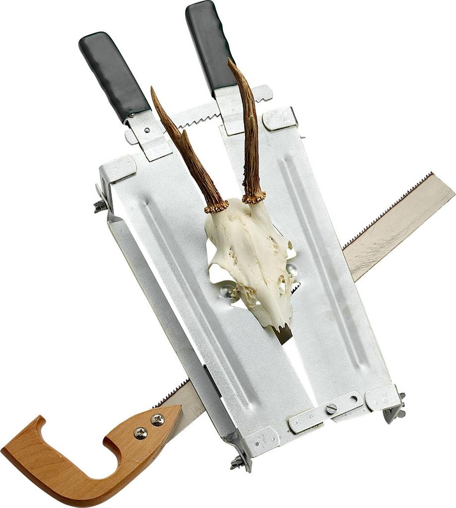 Gehörnsäge mit 37 cm Sägeblatt zur Trophäenpräparation Produktbild 