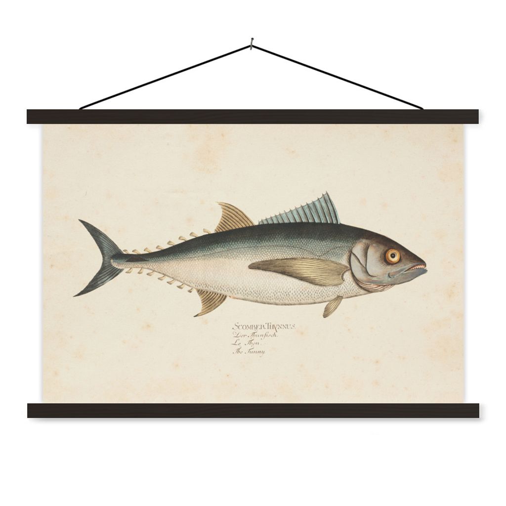 MuchoWow Textilposter Eine alte Illustration eines Fisches 150x100 cm mit schwarzem Rahmen - Schlafzimmer