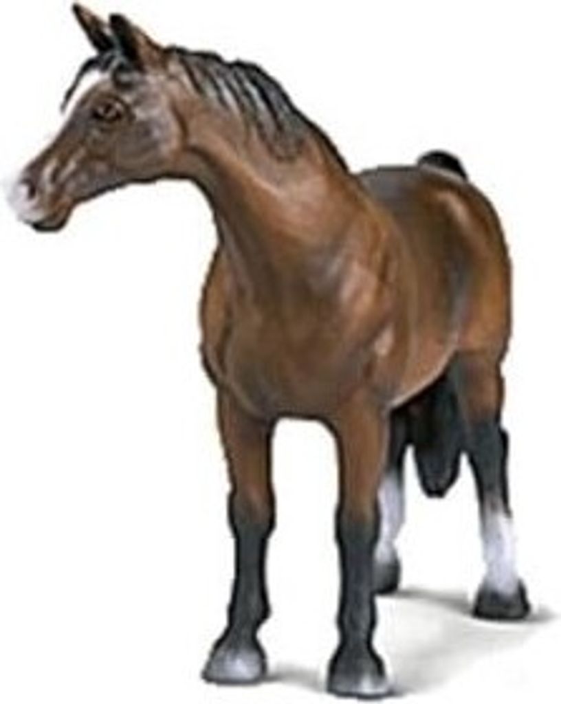 Schleich 13248 Araber
