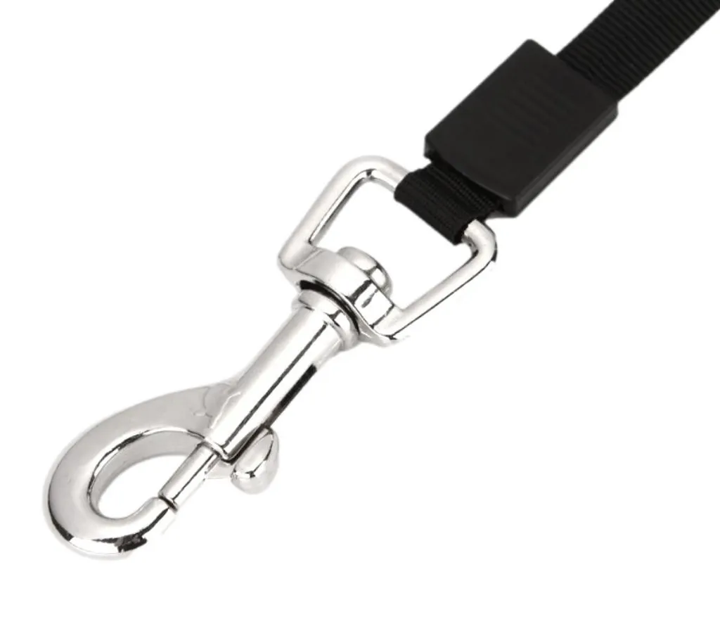 Guinzaglio Retrattile Verde Chiaro 3m - Accessorio Cani Piccola Taglia - 2