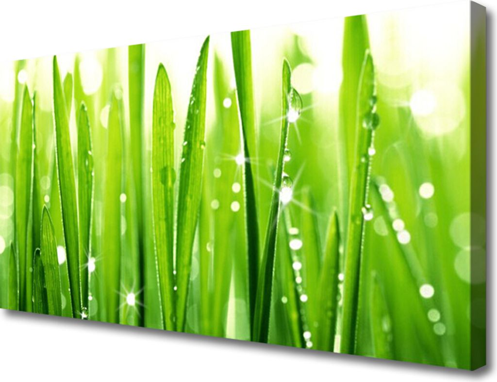 Tulup Leinwand-Bilder 100x50 Wandbild Canvas Kunstdruck Gras Pflanzen