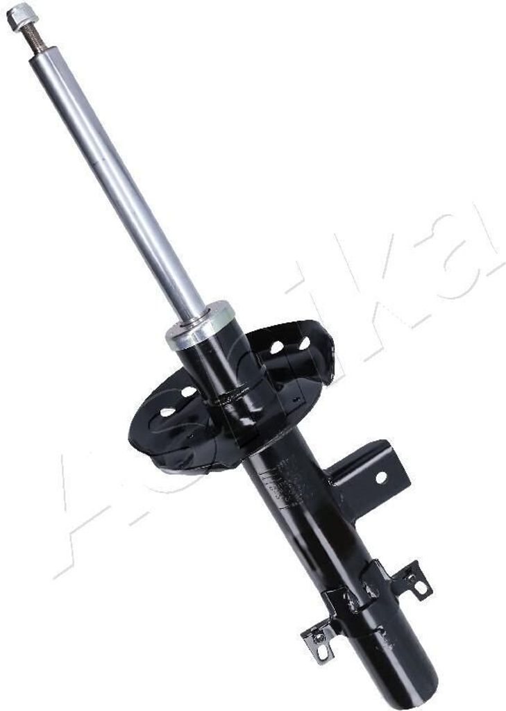 ASHIKA Stoßdämpfer Hinten Links für LAND ROVER Freelander 2 SUV (L359) Federbein MA-LR018