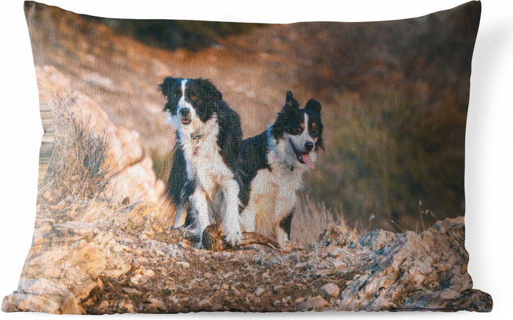 MuchoWow Outdoor Kissen - Border Collies bei einer Wanderung in den Bergen von Utah - 60x40 cm - Wetterfest - Lounge Kissen - Zierkissen - Kissen...