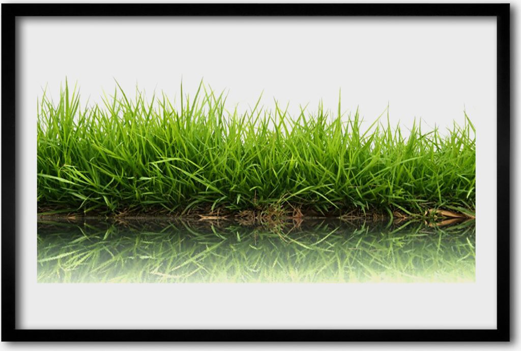 Bild 60x40 MDF-Rahmen Wandkunst Gras Natur Wasserpflanze