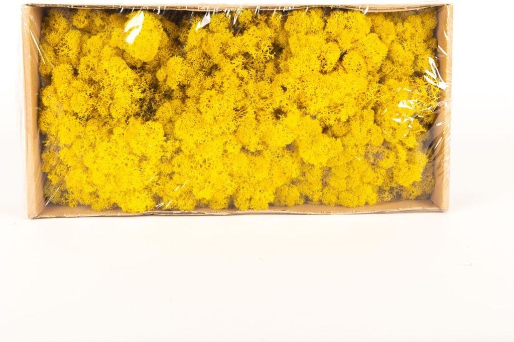 INNA-Glas Dekoratives Moos SVEINBJÖRN, zitronengelb, 500g - Echtes Isländisches Moos