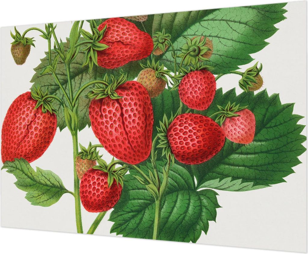 Wandtapete - Dekorative Tapete für Wohnzimmer - Tapetenfolie für Wanddekoration - 208x146 cm - Sommerfrüchte
