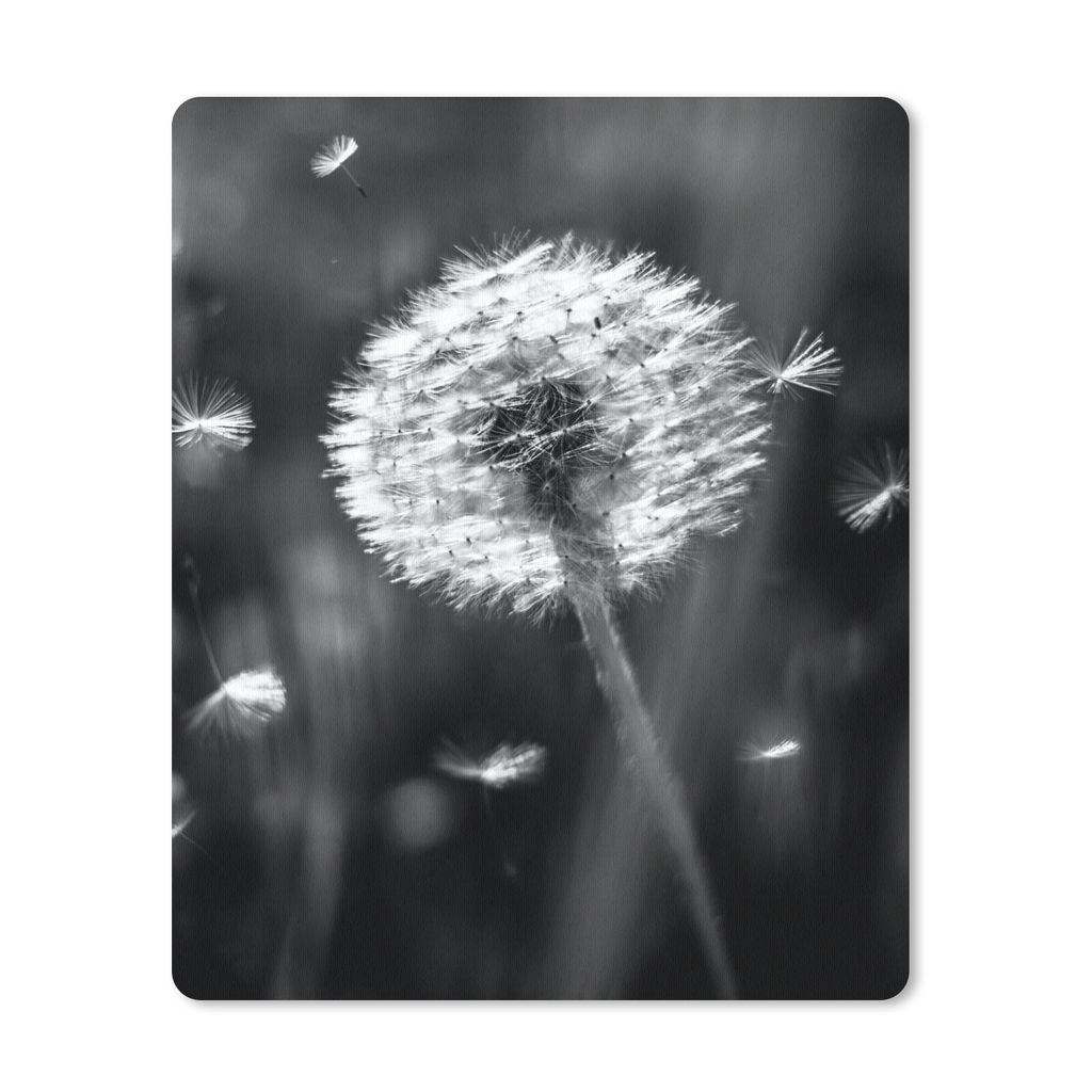 MuchoWow Mauspad Mousepad Löwenzahn - Schwarz - Weiß - Pflanze 30x40 cm - Mousepads - Maus Mat - Pad - Mausunterlage - Mausmatten
