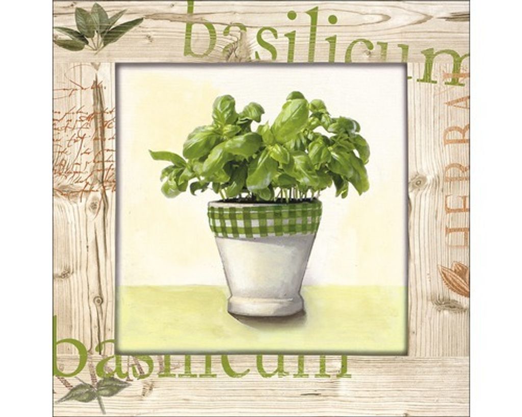 Leinwandbild Kitchen Garden III 27x27 cm