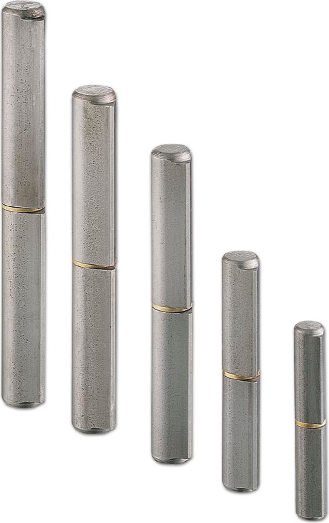 Charmag Bandrolle (Scharnier) Türband ø 16x100 mm mit Zwischenring Stahl blank