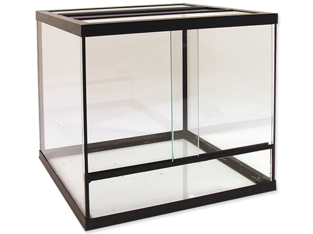 Terrario ANTE 15,5 L con Ventilazione: Habitat per Rettili e Insetti