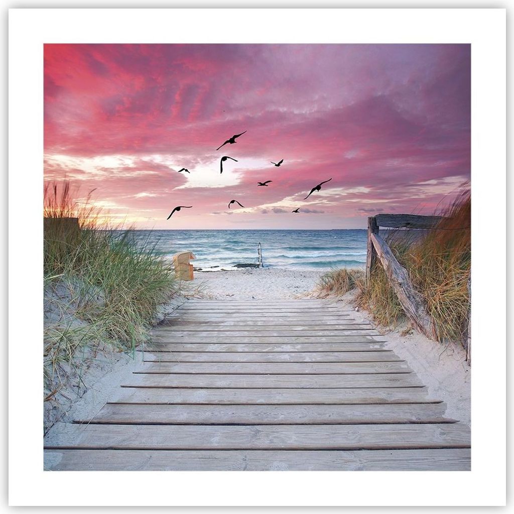 Poster - Poster ohne Rahmen - Strand Sand Vögel - 50x50 cm - Wand Bild - Wanddeko - Wandbilder - Kunstposter - Wandposter - Bilder - Kunstdruck - ...