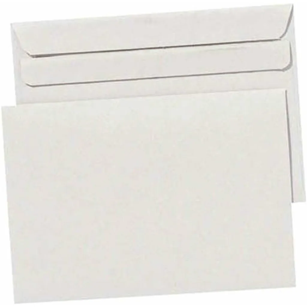 Pochette de correspondance BONG 08905017 SKL avec fenêtre transparente