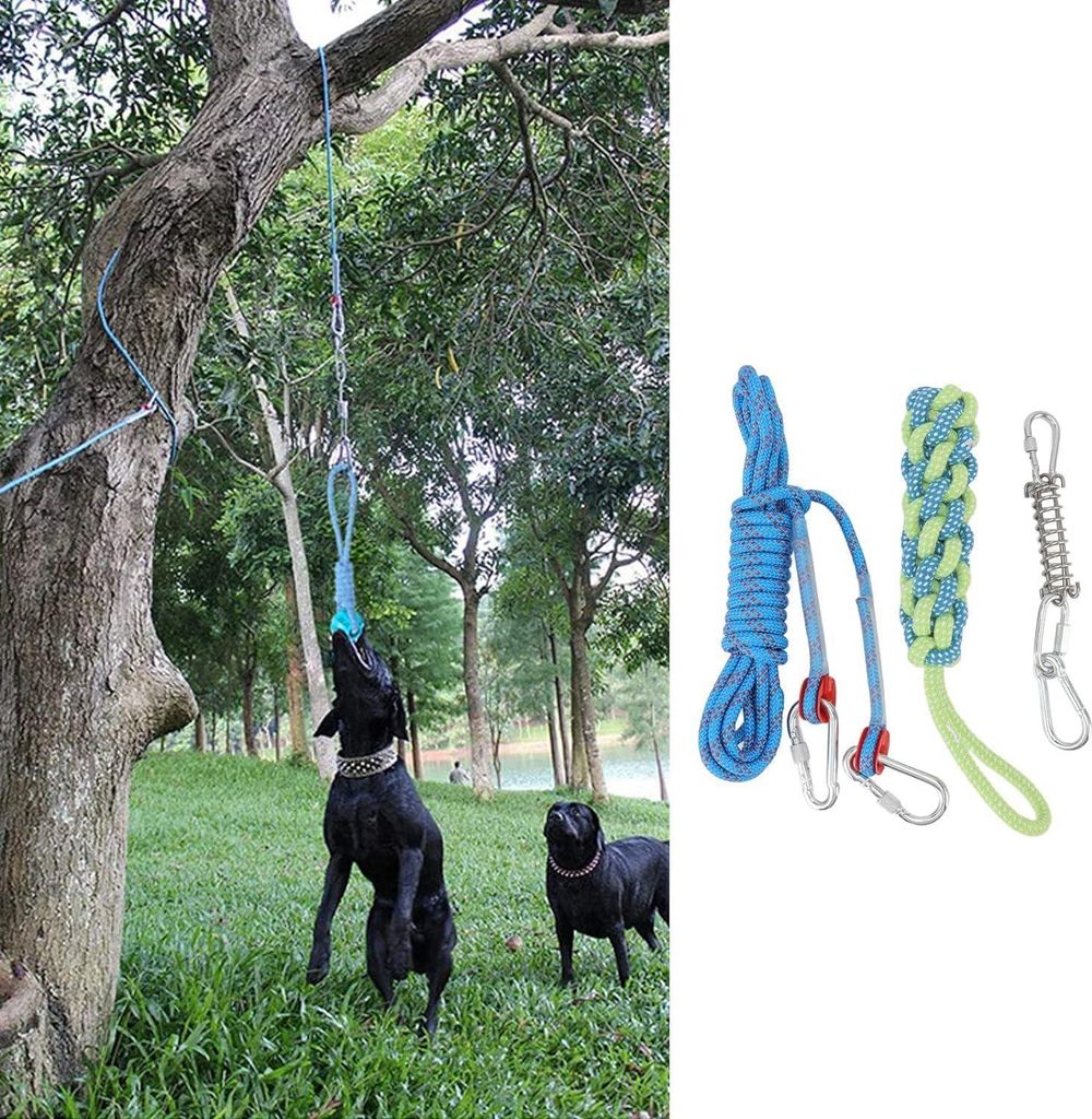 Spring Pole Hundeseilspielzeug, interaktive hängende Bungee-Hundespielzeuge für mittelgroße bis große Hunde 16,4 Fuß, hängendes Outdoor-Übun...