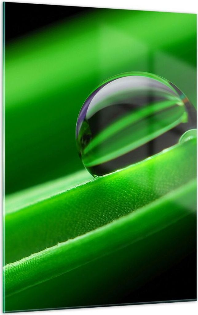 Bilder auf glas - Einteilig - Pflanze Tropfen Wasser Blase - 50x70cm - Glasbilder - Wandbilder - Bilder - Wanddekoration aus Glas - Glas Bilder - W...