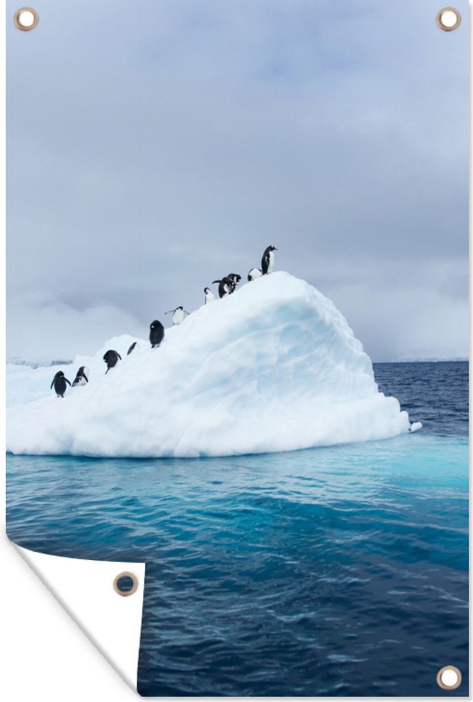 MuchoWow 40x60 cm Outdoor-Poster Gartendeko Sichtschutz Garten Poster für den Garten Pinguine auf Eisberg.