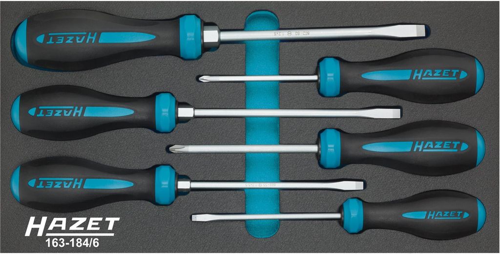 HAZET 163-184/6 Handschraubendreher-Set