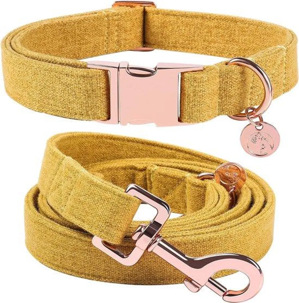 Collier chien jaune confortable antistatique et réglable série Onyx