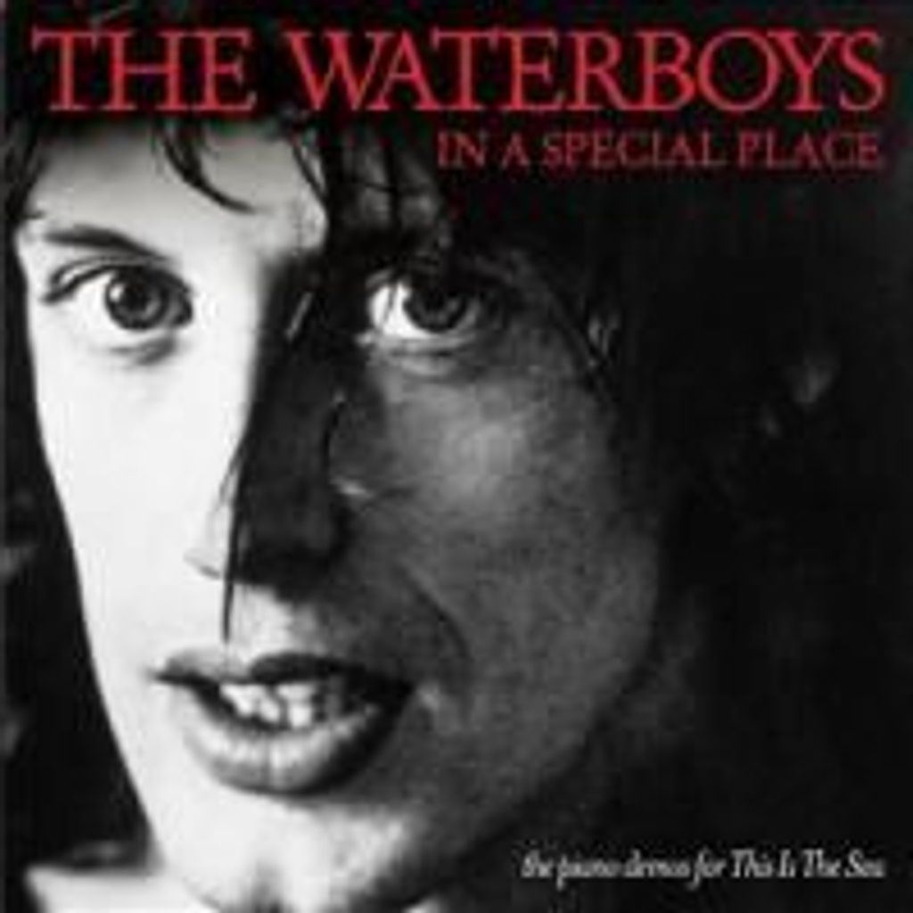 Waterboys, T: In A Special Place (The Piano