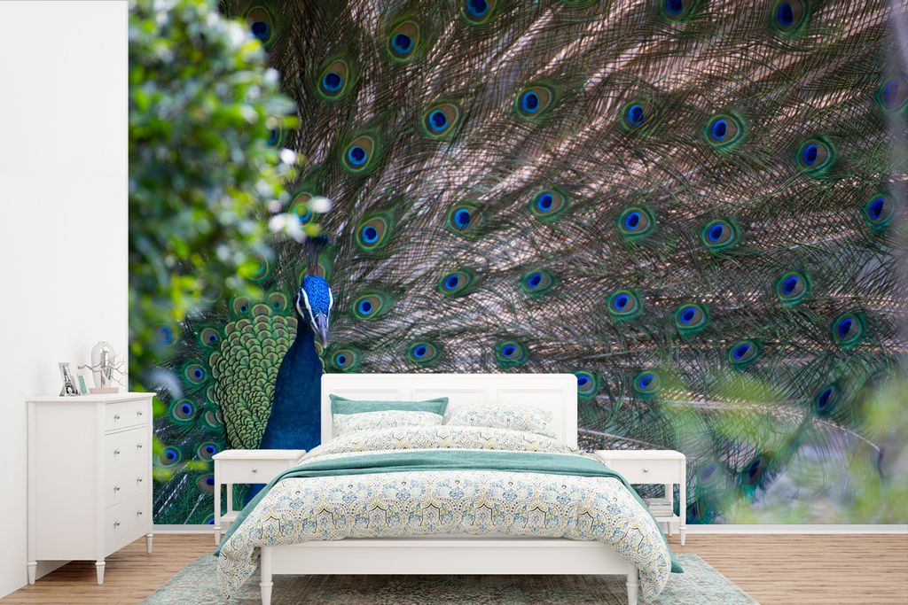 MuchoWow Fototapete für Wohnzimmer oder Schlafzimmer Wandtapete Vinyl Motivtapete Vogel - Pfau - Federn - 450x300 cm - Gemusterte