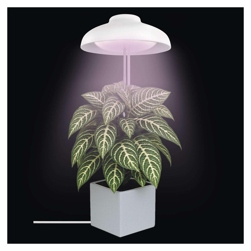 EMOS LED-Grow-Lampe für Zimmerpflanzen und Sukkulenten, Wachstumslampe in Schirm-Design mit Timer, höhenverstellbar, 235lm, 1,5m USB-Kabel, Z7901