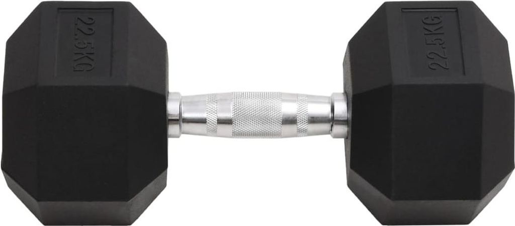 vidaXL Kurzhantel 22,5 kg Gusseisen