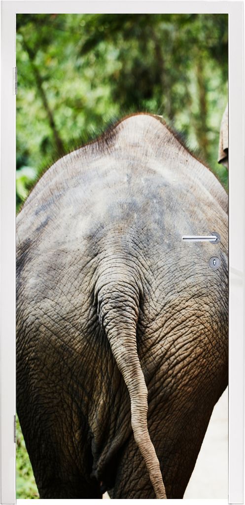MuchoWow Türtapete Selbstklebende Türfolie Zwei Elefanten gehen in den Wald 80x215 cm Türposter Türaufkleber Klebefolie Türklebefolie - Selb...