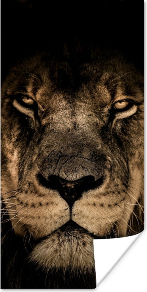 MuchoWow Poster Löwe - Tiere - Schwarz - Porträt 40x80 cm - Dekoration