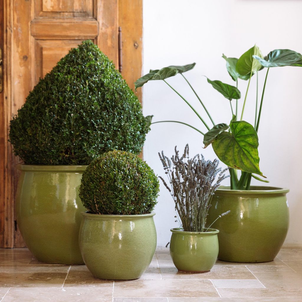 Provencelia Keramik Pflanzkübel Newton Olive, Ø35 x H44 cm, Produktbild 
